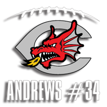 Central Dragons Personalized Football 8" decal