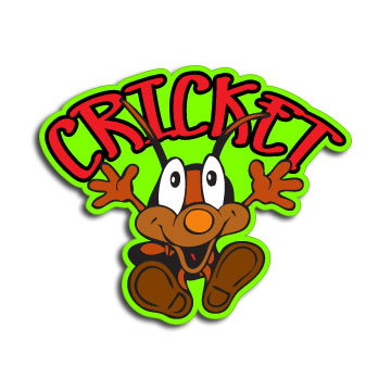 Personalized Cricket Decal
