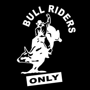 6 " white bull rider vinyl decal