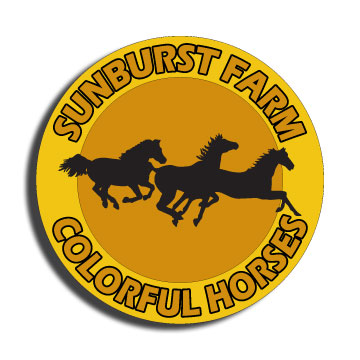Personalized Running Horses Decal
