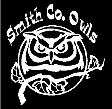 6" white owl mascot decal