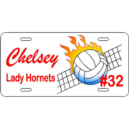Vinyl Volleyball license plate